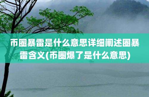 币圈暴雷是什么意思详细阐述圈暴雷含义(币圈爆了是什么意思)