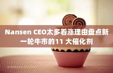 Nansen CEO太多看涨理由盘点新一轮牛市的11 大催化剂