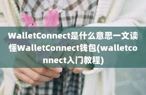 WalletConnect是什么意思一文读懂WalletConnect钱包(walletconnect入门教程)