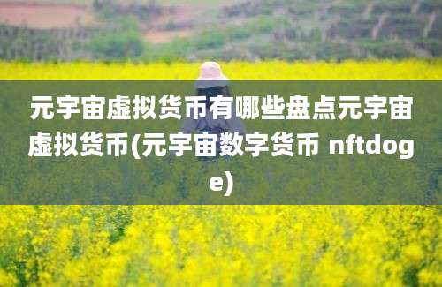 元宇宙虚拟货币有哪些盘点元宇宙虚拟货币(元宇宙数字货币 nftdoge)