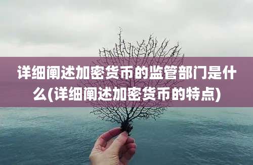 详细阐述加密货币的监管部门是什么(详细阐述加密货币的特点)