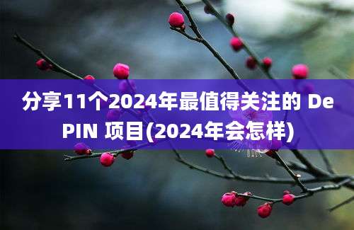 分享11个2024年最值得关注的 DePIN 项目(2024年会怎样)