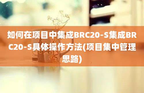 如何在项目中集成BRC20-S集成BRC20-S具体操作方法(项目集中管理思路)