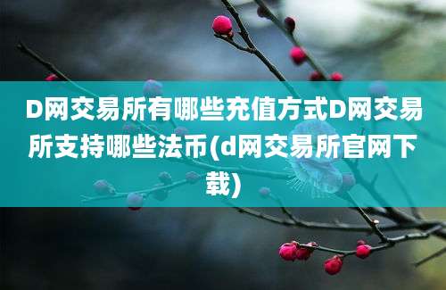 D网交易所有哪些充值方式D网交易所支持哪些法币(d网交易所官网下载)