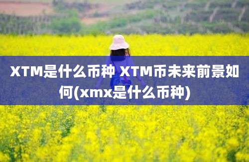 XTM是什么币种 XTM币未来前景如何(xmx是什么币种)