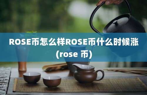 ROSE币怎么样ROSE币什么时候涨(rose 币)