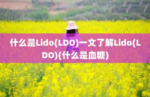 什么是Lido(LDO)一文了解Lido(LDO)(什么是血糖)