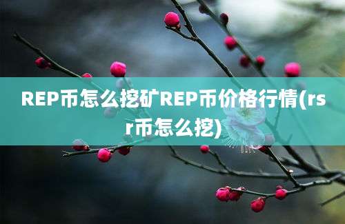 REP币怎么挖矿REP币价格行情(rsr币怎么挖)