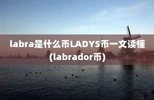 labra是什么币LADYS币一文读懂(labrador币)