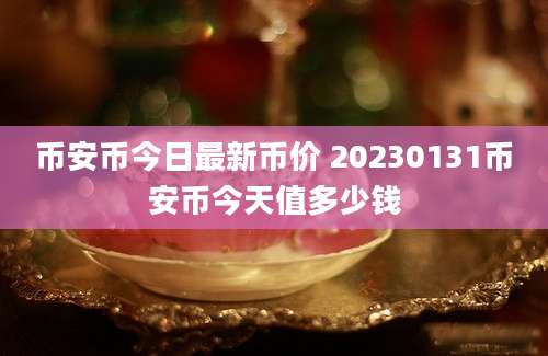 币安币今日最新币价 20230131币安币今天值多少钱