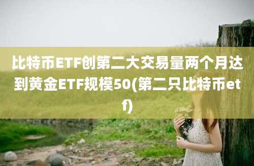 比特币ETF创第二大交易量两个月达到黄金ETF规模50(第二只比特币etf)