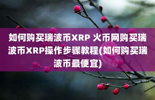 如何购买瑞波币XRP 火币网购买瑞波币XRP操作步骤教程(如何购买瑞波币最便宜)