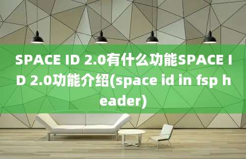 SPACE ID 2.0有什么功能SPACE ID 2.0功能介绍(space id in fsp header)