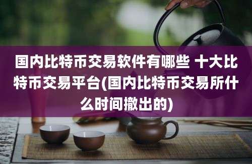 国内比特币交易软件有哪些 十大比特币交易平台(国内比特币交易所什么时间撤出的)