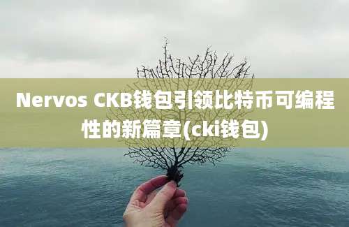 Nervos CKB钱包引领比特币可编程性的新篇章(cki钱包)