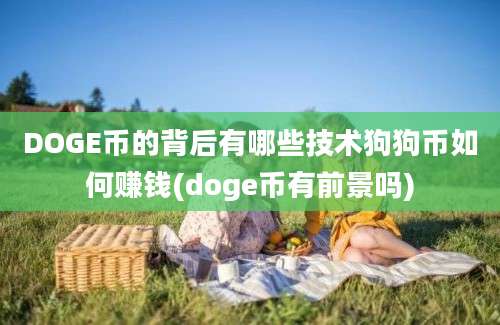 DOGE币的背后有哪些技术狗狗币如何赚钱(doge币有前景吗)