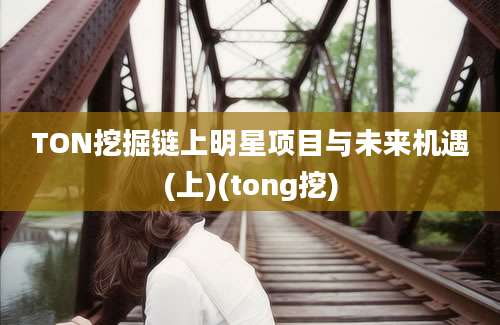 TON挖掘链上明星项目与未来机遇(上)(tong挖)