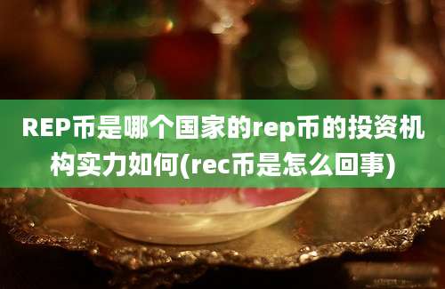 REP币是哪个国家的rep币的投资机构实力如何(rec币是怎么回事)