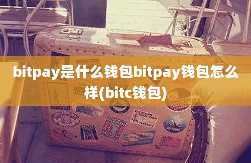 bitpay是什么钱包bitpay钱包怎么样(bitc钱包)