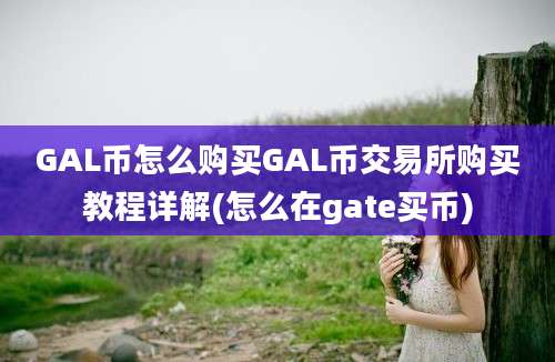 GAL币怎么购买GAL币交易所购买教程详解(怎么在gate买币)