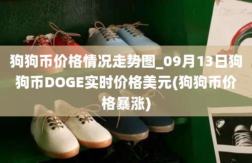 狗狗币价格情况走势图_09月13日狗狗币DOGE实时价格美元(狗狗币价格暴涨)