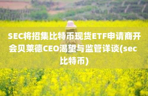 SEC将招集比特币现货ETF申请商开会贝莱德CEO渴望与监管详谈(sec 比特币)