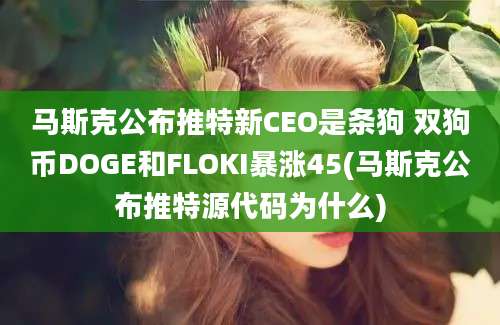 马斯克公布推特新CEO是条狗 双狗币DOGE和FLOKI暴涨45(马斯克公布推特源代码为什么)