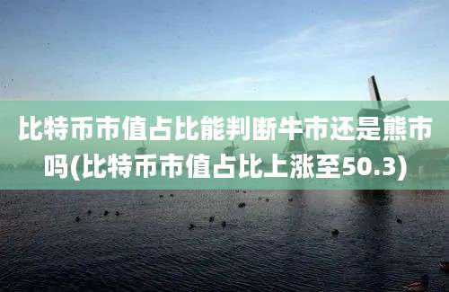 比特币市值占比能判断牛市还是熊市吗(比特币市值占比上涨至50.3)