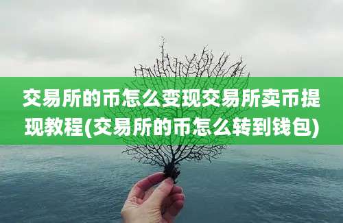 交易所的币怎么变现交易所卖币提现教程(交易所的币怎么转到钱包)