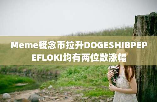 Meme概念币拉升DOGESHIBPEPEFLOKI均有两位数涨幅