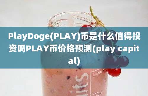 PlayDoge(PLAY)币是什么值得投资吗PLAY币价格预测(play capital)