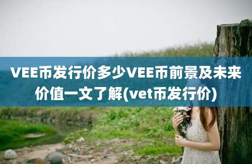 VEE币发行价多少VEE币前景及未来价值一文了解(vet币发行价)