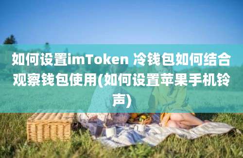 如何设置imToken 冷钱包如何结合观察钱包使用(如何设置苹果手机铃声)