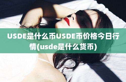 USDE是什么币USDE币价格今日行情(usde是什么货币)