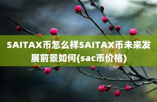 SAITAX币怎么样SAITAX币未来发展前景如何(sac币价格)