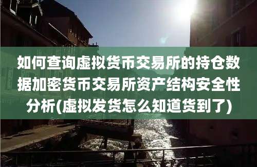 如何查询虚拟货币交易所的持仓数据加密货币交易所资产结构安全性分析(虚拟发货怎么知道货到了)