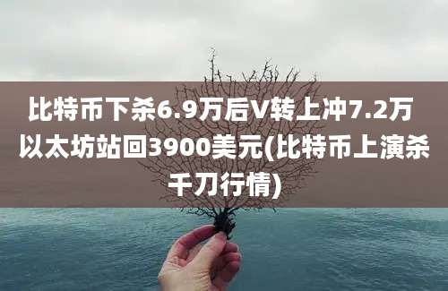 比特币下杀6.9万后V转上冲7.2万 以太坊站回3900美元(比特币上演杀千刀行情)