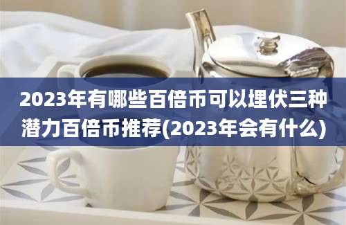 2023年有哪些百倍币可以埋伏三种潜力百倍币推荐(2023年会有什么)