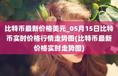 比特币最新价格美元_05月15日比特币实时价格行情走势图(比特币最新价格实时走势图)