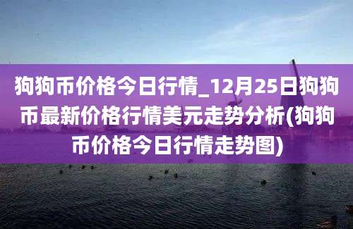 狗狗币价格今日行情_12月25日狗狗币最新价格行情美元走势分析(狗狗币价格今日行情走势图)