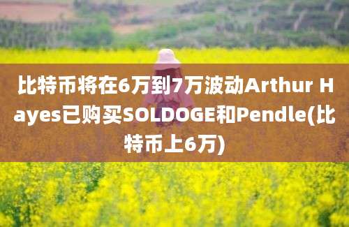 比特币将在6万到7万波动Arthur Hayes已购买SOLDOGE和Pendle(比特币上6万)