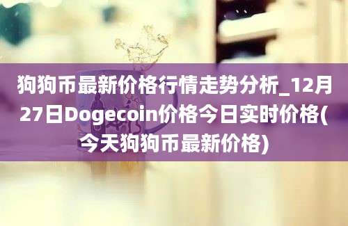 狗狗币最新价格行情走势分析_12月27日Dogecoin价格今日实时价格(今天狗狗币最新价格)