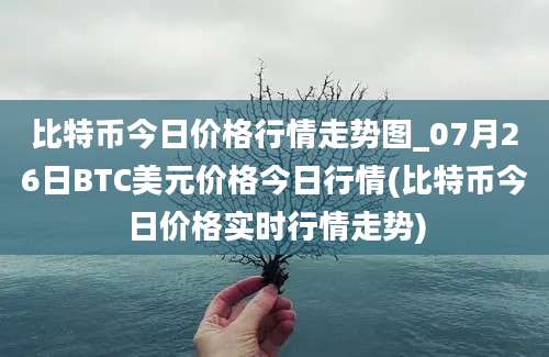 比特币今日价格行情走势图_07月26日BTC美元价格今日行情(比特币今日价格实时行情走势)