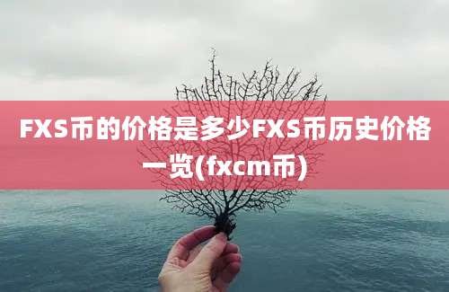 FXS币的价格是多少FXS币历史价格一览(fxcm币)