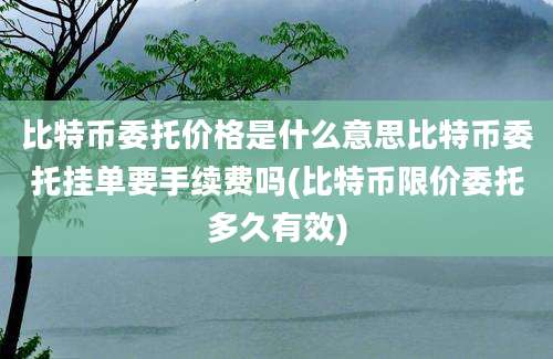 比特币委托价格是什么意思比特币委托挂单要手续费吗(比特币限价委托多久有效)