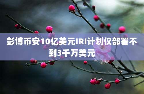 彭博币安10亿美元IRI计划仅部署不到3千万美元