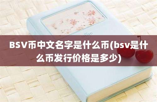 BSV币中文名字是什么币(bsv是什么币发行价格是多少)