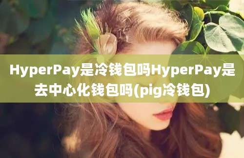 HyperPay是冷钱包吗HyperPay是去中心化钱包吗(pig冷钱包)