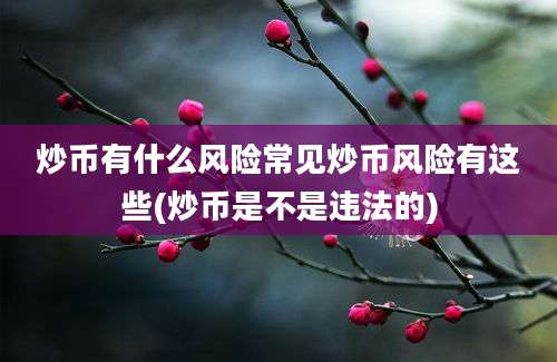 炒币有什么风险常见炒币风险有这些(炒币是不是违法的)