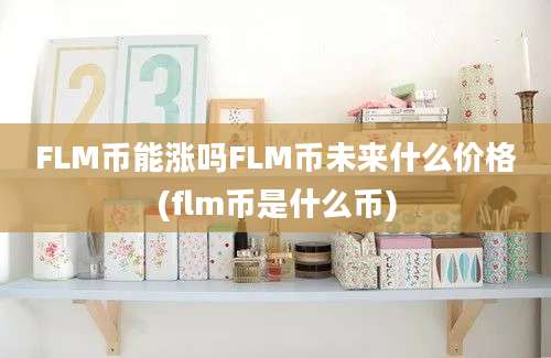 FLM币能涨吗FLM币未来什么价格(flm币是什么币)